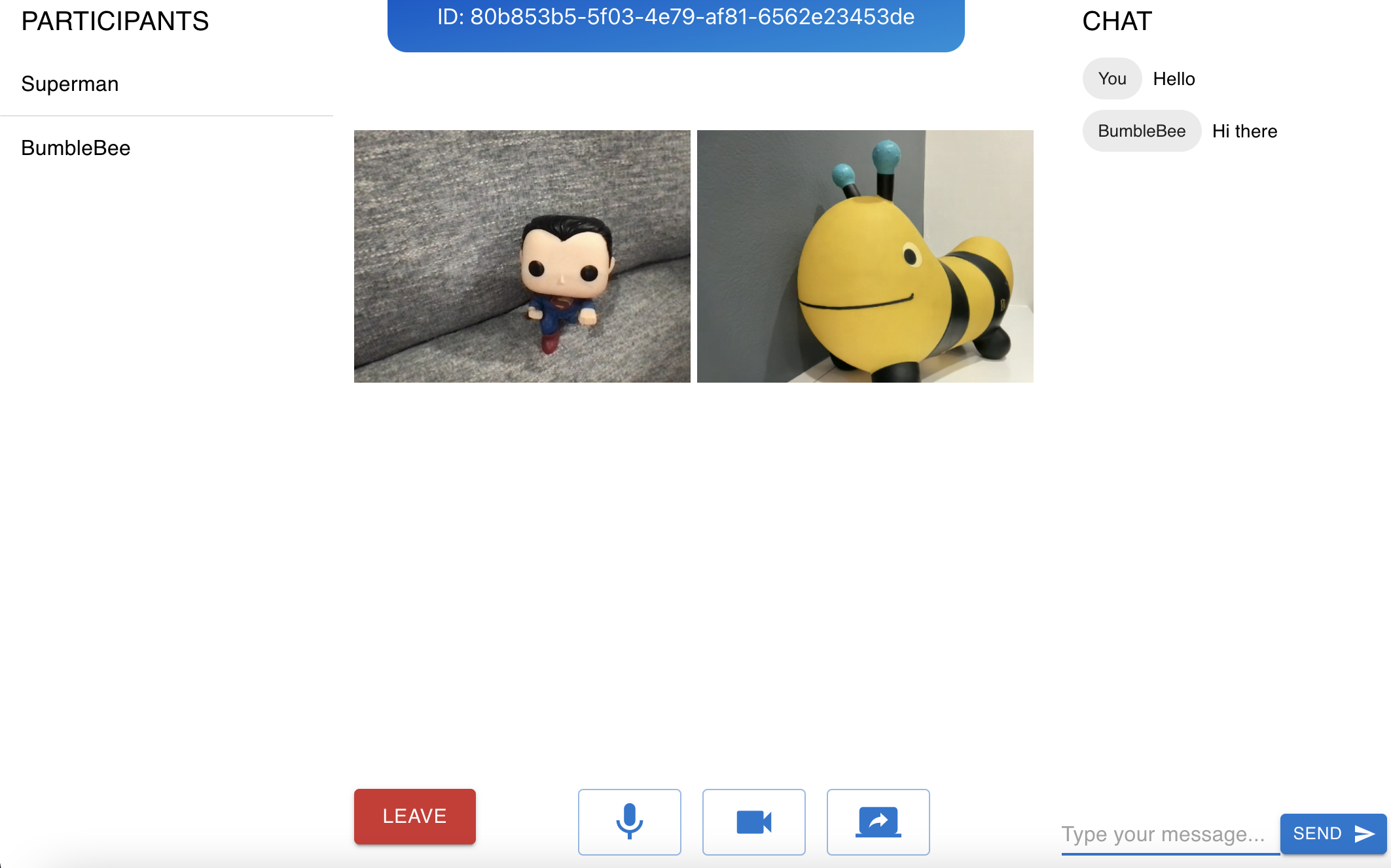 Screenshot of meeting application